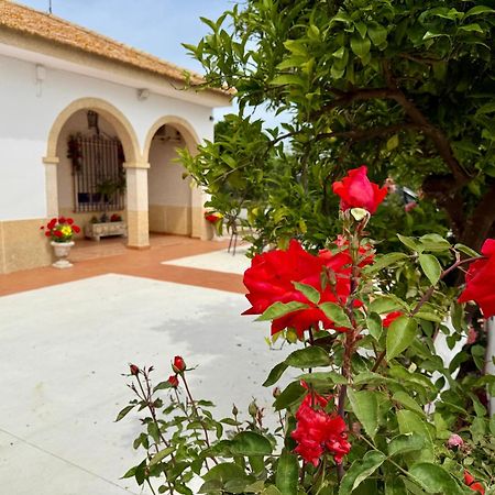 La Casa Del Flamenco Villa Cañada del Rabadán Buitenkant foto