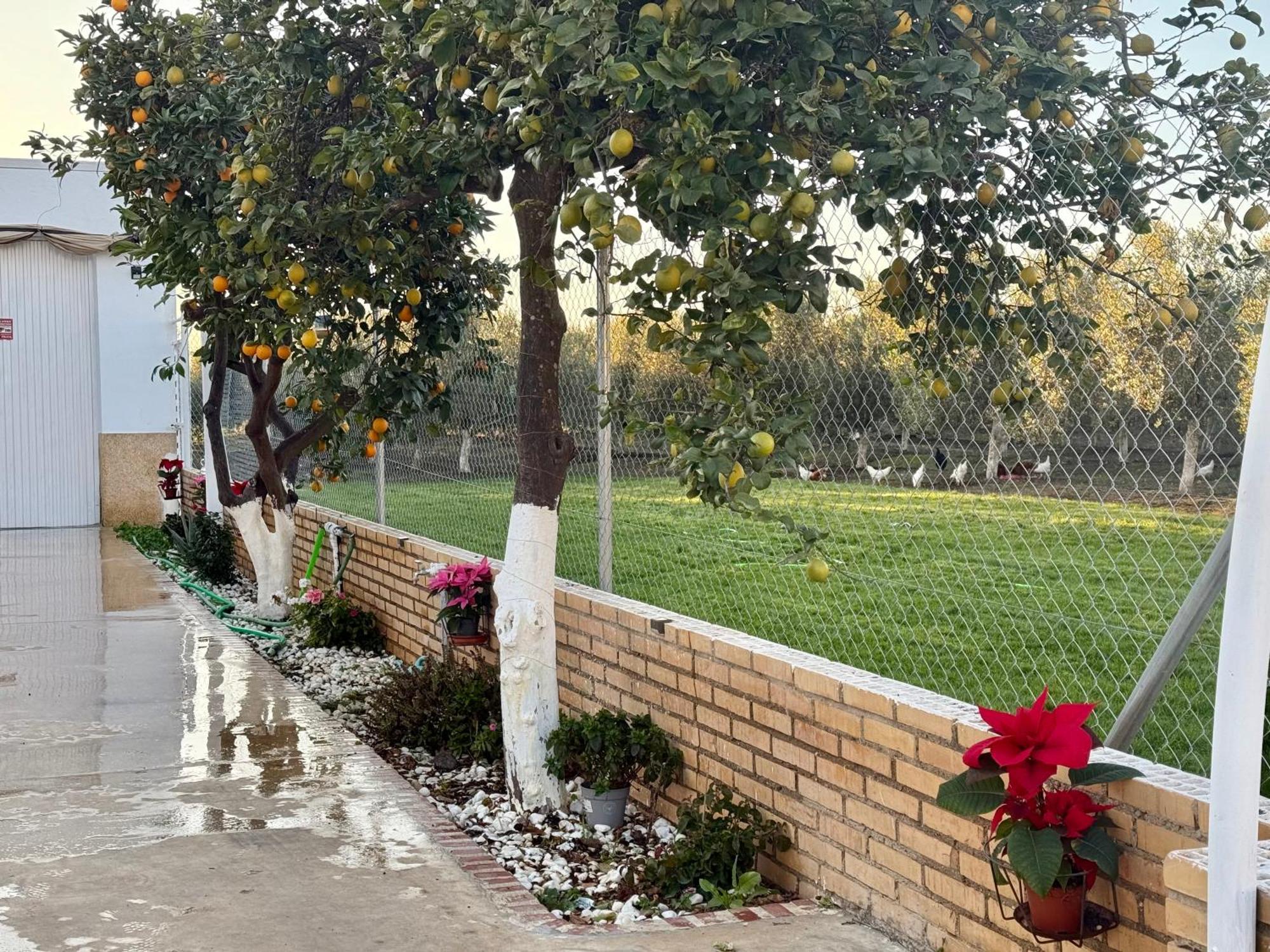La Casa Del Flamenco Villa Cañada del Rabadán Buitenkant foto