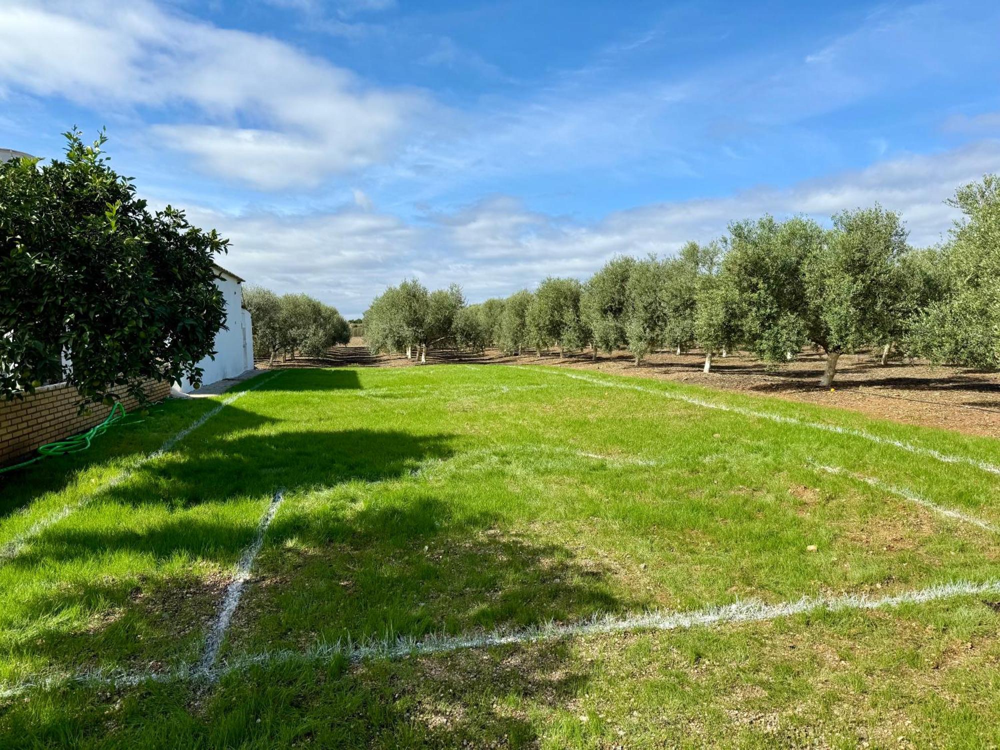 La Casa Del Flamenco Villa Cañada del Rabadán Buitenkant foto