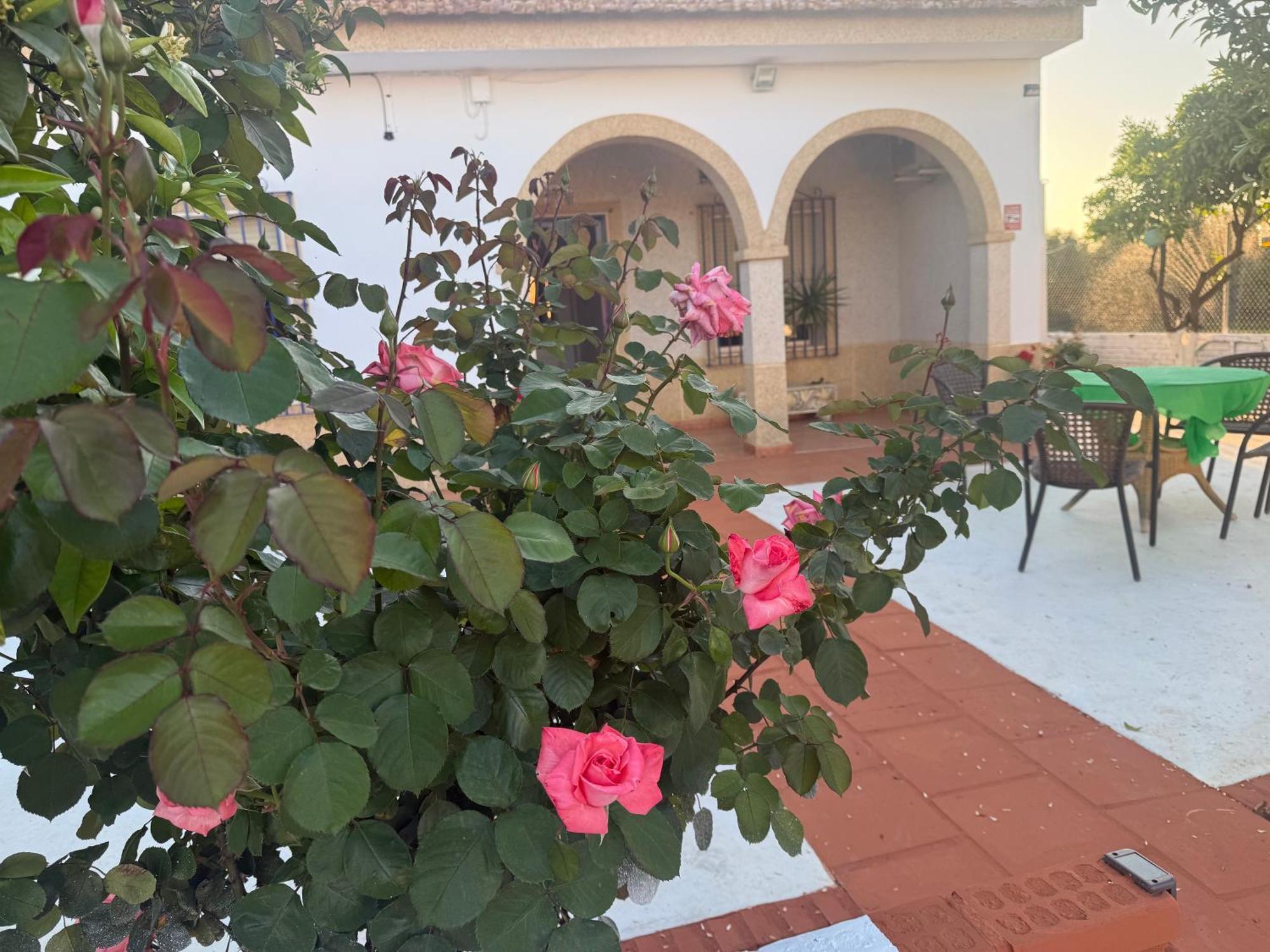 La Casa Del Flamenco Villa Cañada del Rabadán Buitenkant foto