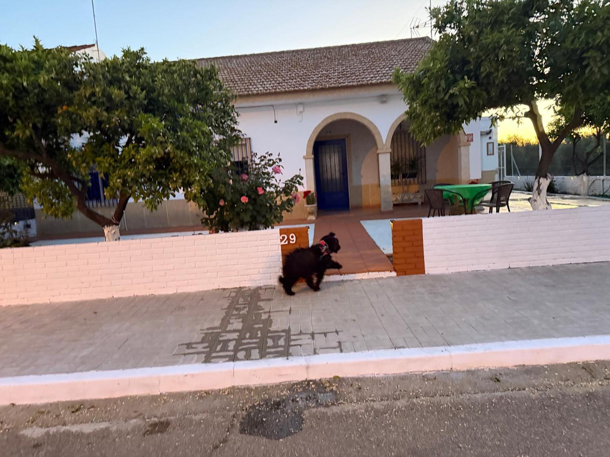 La Casa Del Flamenco Villa Cañada del Rabadán Buitenkant foto