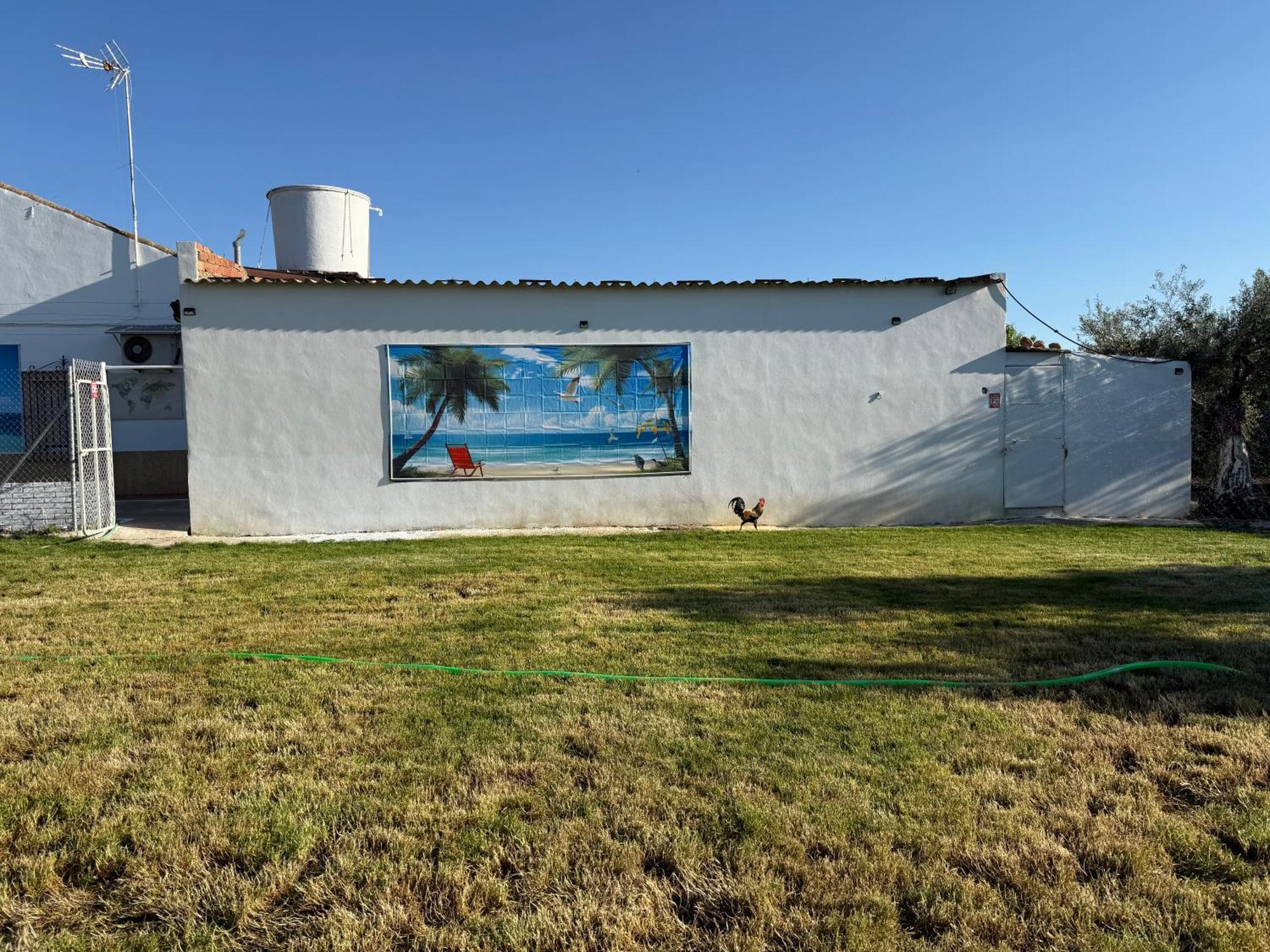 La Casa Del Flamenco Villa Cañada del Rabadán Buitenkant foto