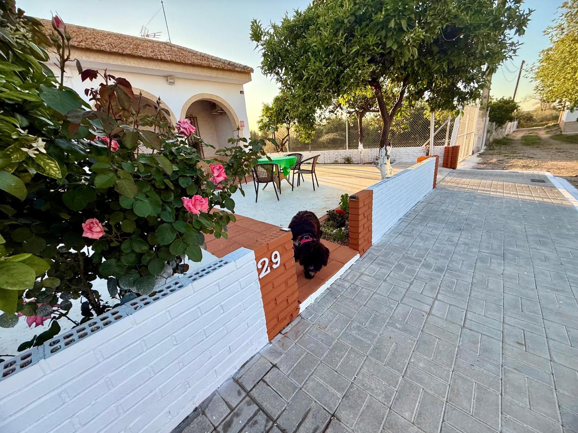La Casa Del Flamenco Villa Cañada del Rabadán Buitenkant foto