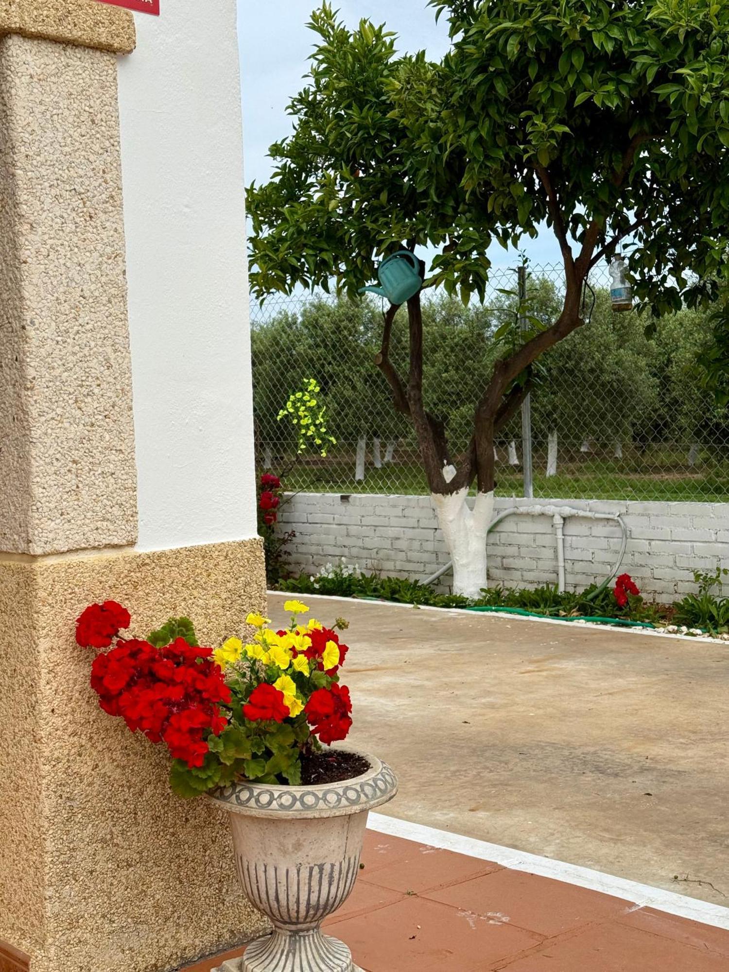 La Casa Del Flamenco Villa Cañada del Rabadán Buitenkant foto
